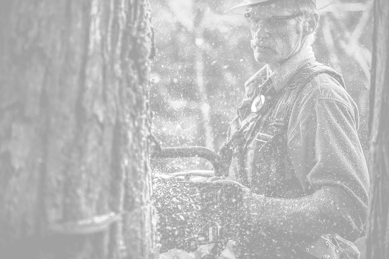 &nbsp;Jack Stuart's dangerous job involves cutting down a tree with a chainsaw